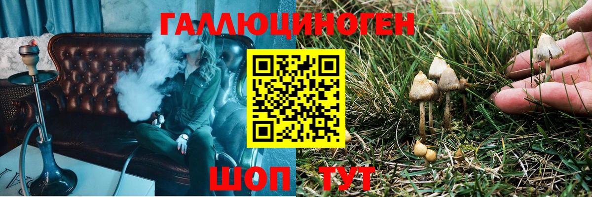 Псилоцибиновые грибы прущие грибы  Вход с VPN  Дедовск 