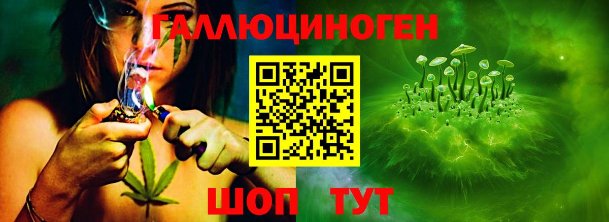 Псилоцибиновые грибы GOLDEN TEACHER Дедовск